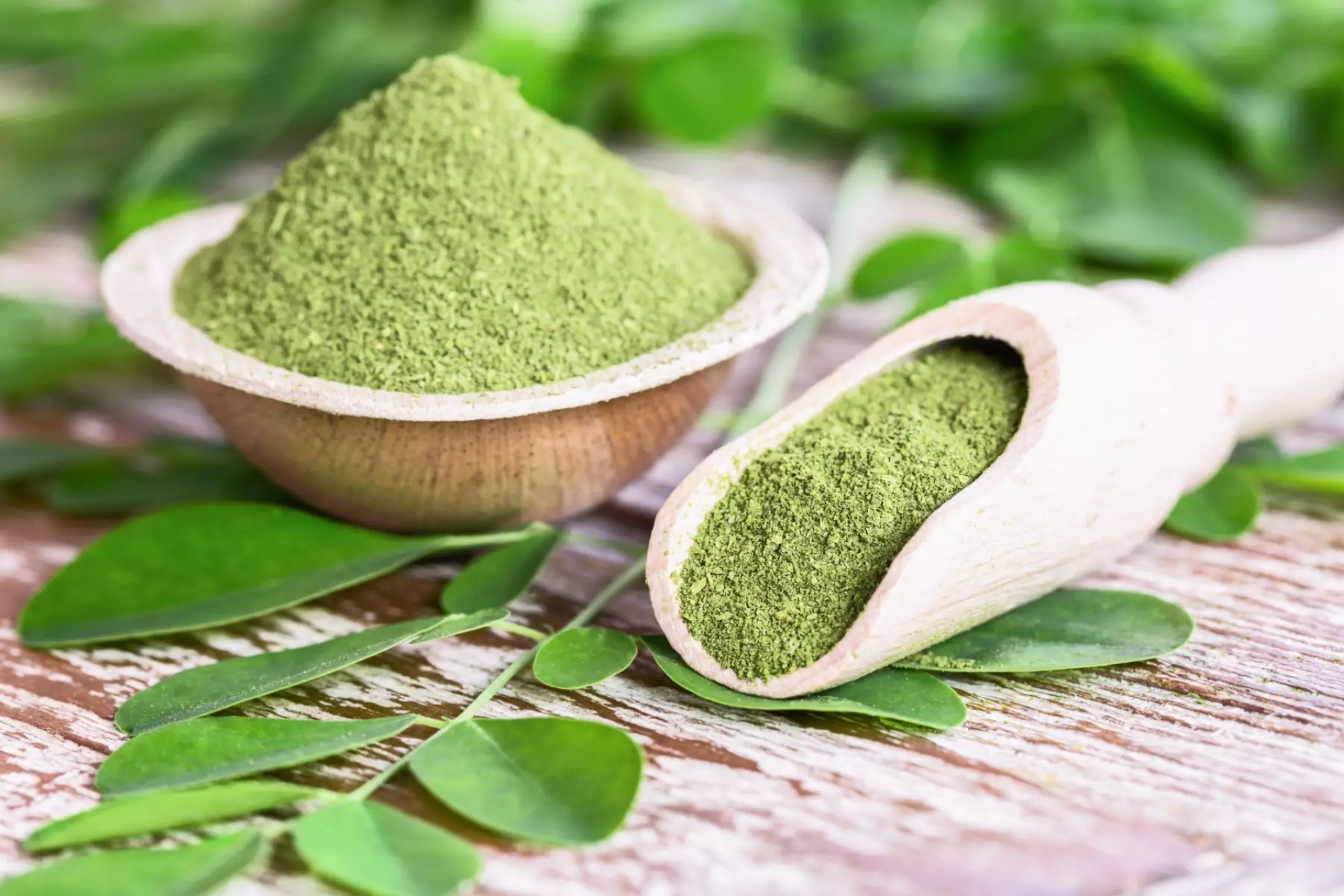 Moringa aliment